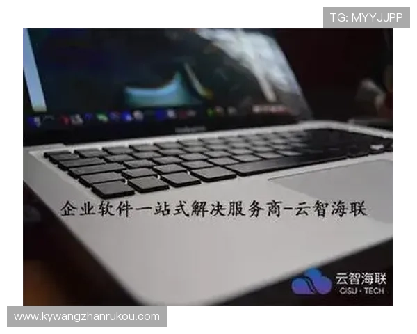 深度解析开云国际站如何推动国际电商行业的发展